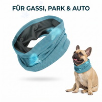 Eispfote Kühl-Bandana für Gassi, Park und Auto